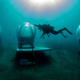Illustration for article titled There Are Strawberries Growing Underwater Off the Coast of Italy